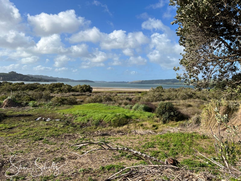 99 Komiti Road, Tinopai - Carousel 1