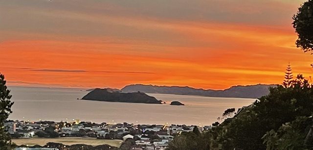 57 Miromiro Road, Normandale, Lower Hutt - Carousel 16