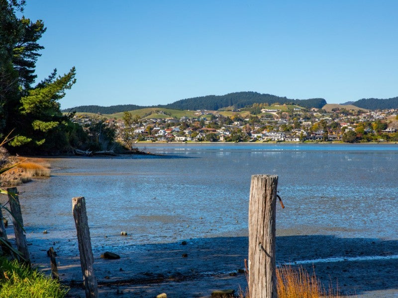 14 Ebbtide Way, Maungatapu, Tauranga - Carousel 2