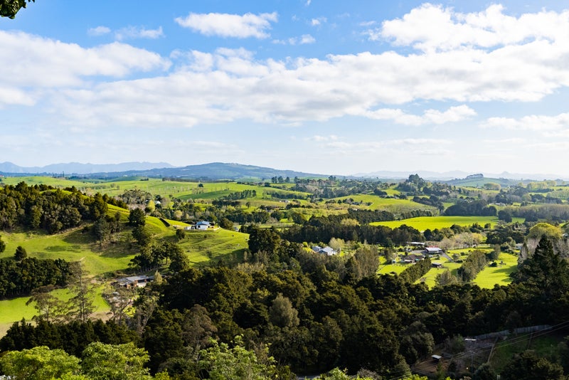 43A Wood Road, Whangarei - Carousel 32