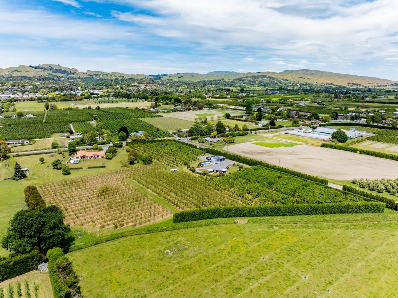 1280 Howard Street, Parkvale, Hastings - Carousel 26