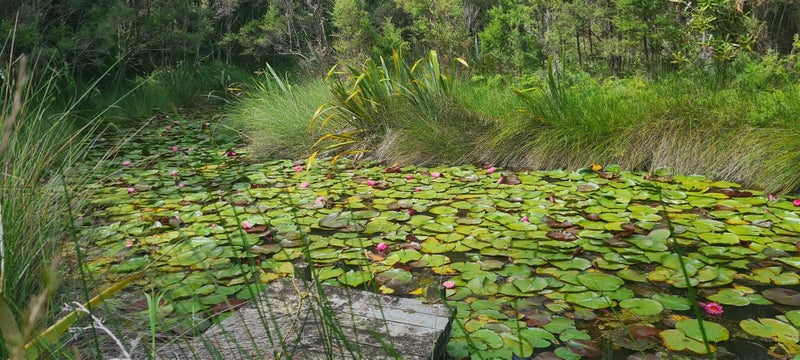 0 Garton Road, Peria, Kaitaia - Carousel 1