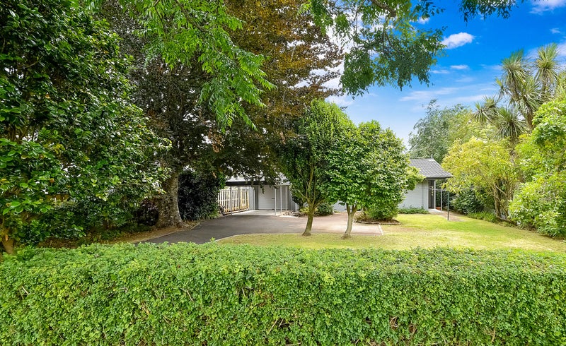 218 Maungatapu Road, Maungatapu, Tauranga - Carousel 23
