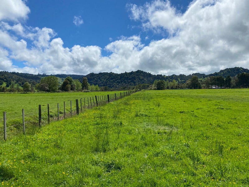 94 Pukepoto Road, Okaihau - Carousel 1