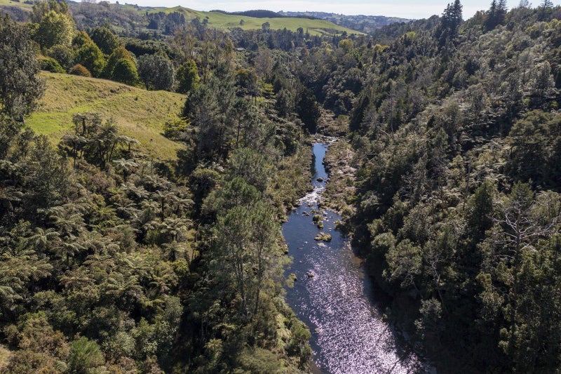 1525 State Highway 29, Lower Kaimai - Carousel 1