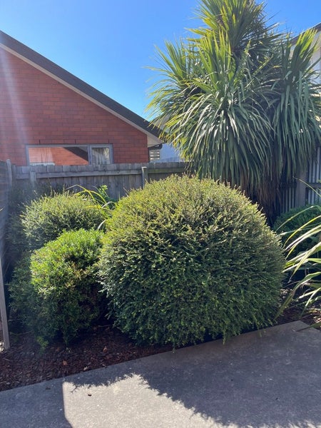 9/190 Lincoln Road, Addington, Christchurch - Carousel 11