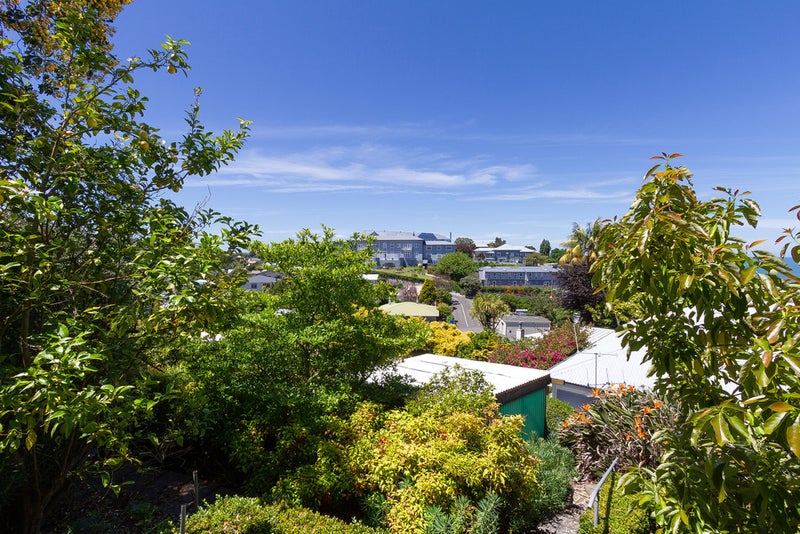 20 Sealy Road, Bluff Hill, Napier - Carousel 20