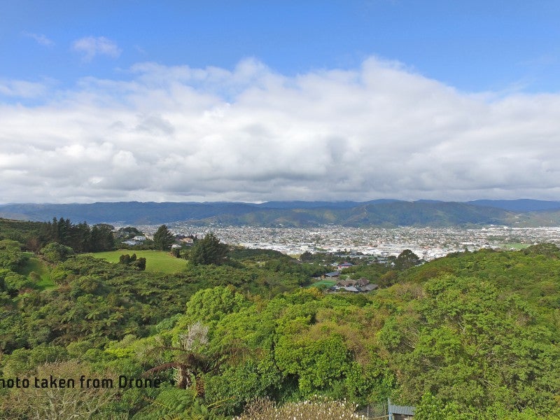 178 Normandale Road, Normandale, Lower Hutt - Carousel 19