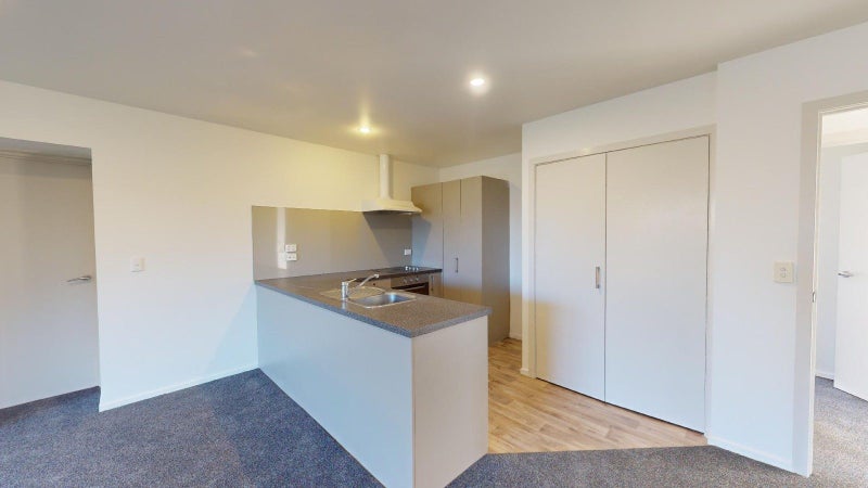 317 Tancred Street, Hampstead, Ashburton - Carousel 2