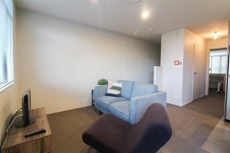 119 Carroll Street, Dunedin Central, Dunedin - Carousel 8