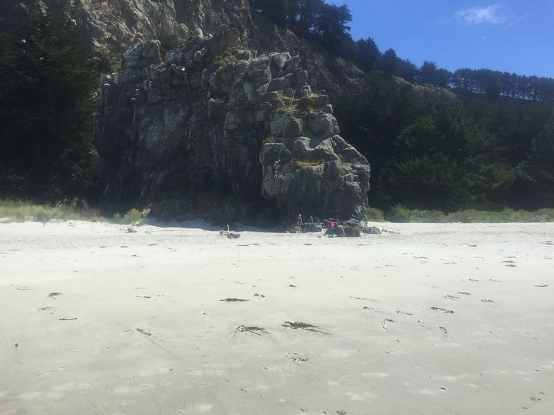 40 Driver Street, Long Beach, Port Chalmers - Carousel 8