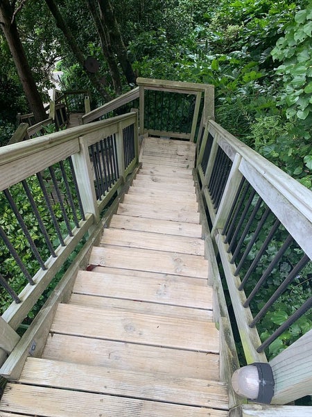 45 Farnham Street, Mornington, Wellington - Carousel 18