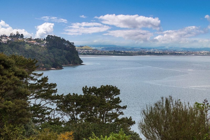 6/17 Matata Street, Blockhouse Bay, Auckland - Carousel 21