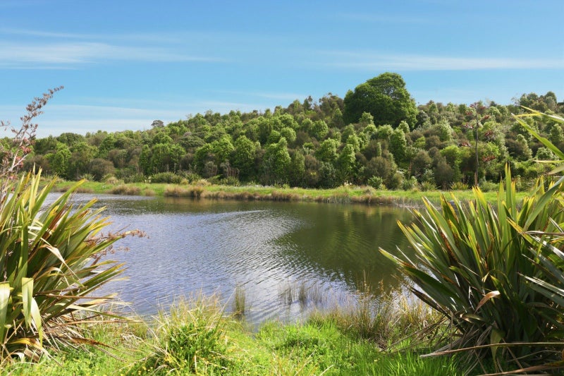 72 Pakanga Grove, Pyes Pa, Tauranga - Carousel 2