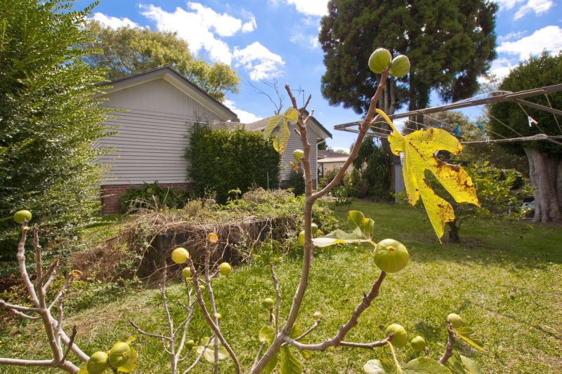 53 Hutchinsons Road, Bucklands Beach, Auckland - Carousel 11