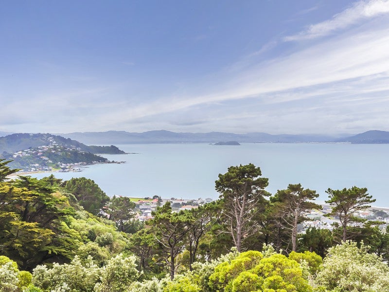 13 Signallers Grove, Strathmore Park, Wellington - Carousel 1