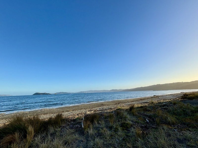 171 The Esplanade, Petone, Lower Hutt - Carousel 18