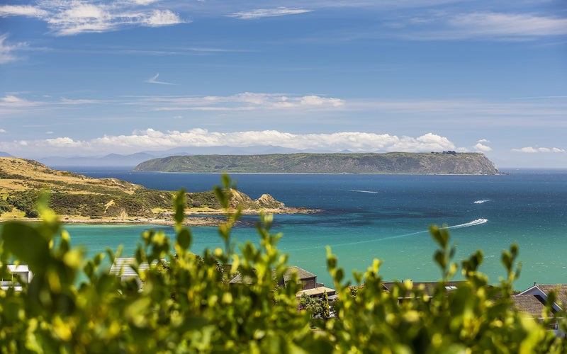 9 Tregear Place, Camborne, Porirua - Carousel 50