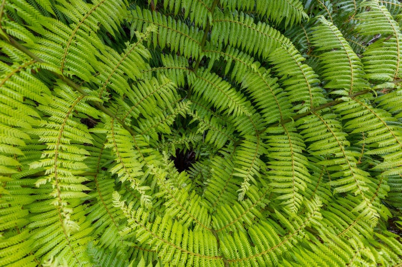 47 Korimako Rise, Picton - Carousel 30