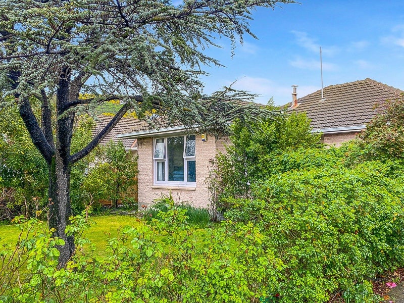 294 Opawa Road, Hillsborough, Christchurch - Carousel 1