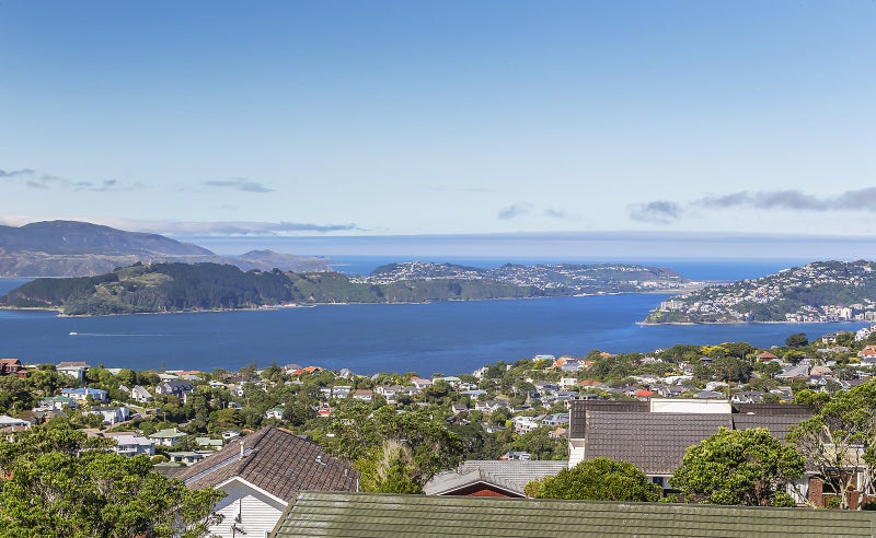 6 Nagpur Terrace, Broadmeadows, Wellington - Carousel 1