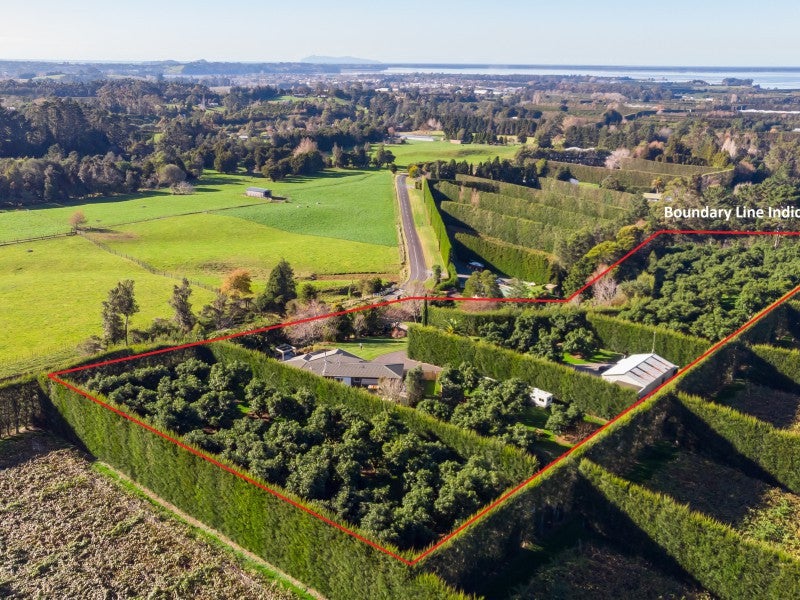 203 Rea Road, Katikati - Carousel 19