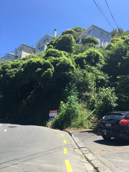 73 Garden Road, Northland, Wellington - Carousel 2