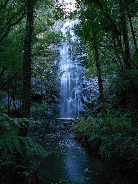 229 Kapowai Road, Whenuakite, Whitianga - Carousel 2