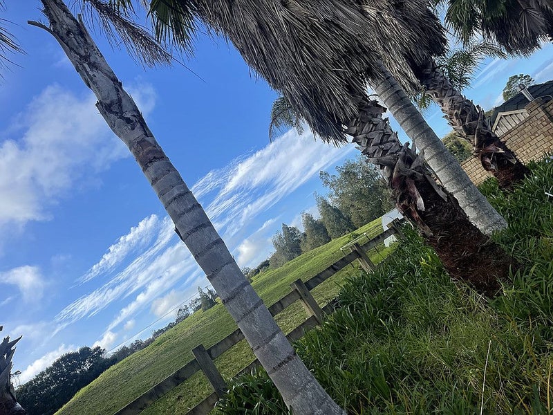 124 Vaughans Road, Albany - Carousel 27