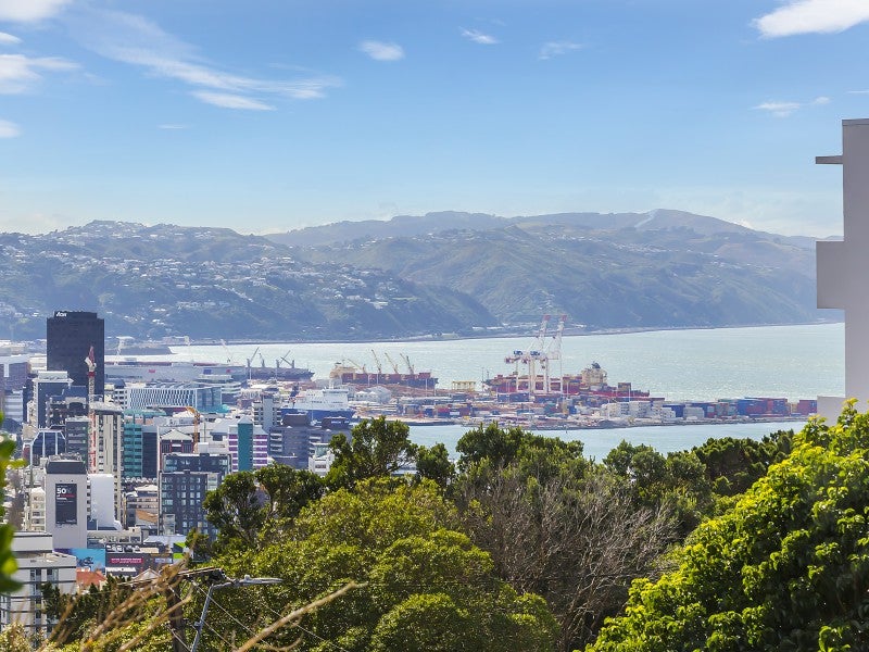 14 Washington Avenue, Brooklyn, Wellington - Carousel 1