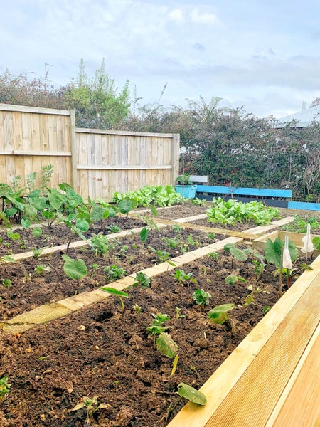 1/2A SUNNYNOOK ROAD, Sunnynook, Auckland - Carousel 9