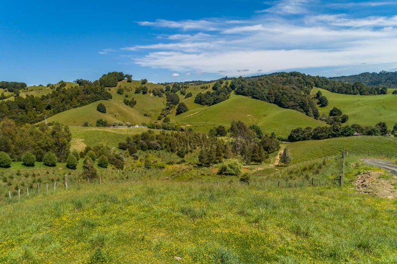 103 Bayer Road, Puhoi, Warkworth - Carousel 13