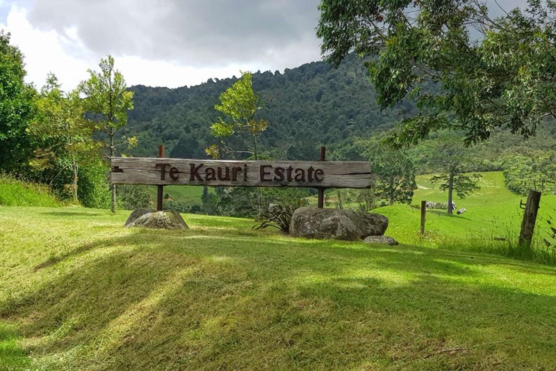 17A Tye Road, Katikati - Carousel 20