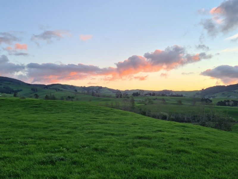 82 Hicks Road, Maungatautari - Carousel 17