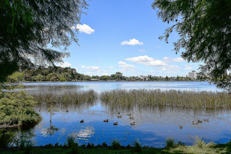 19 Lake Domain Drive, Frankton, Hamilton - Carousel 2