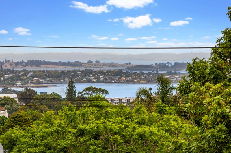 1/95 Namata Road, Onehunga, Auckland - Carousel 2