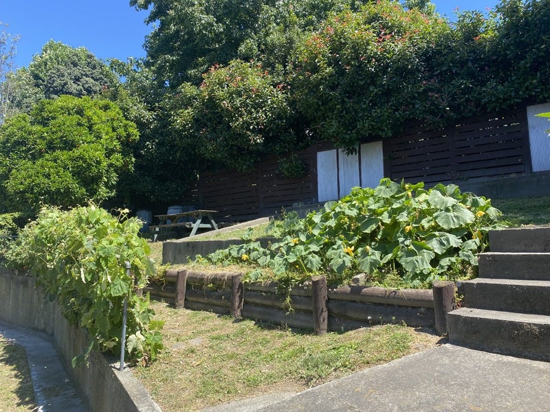 48 Torlesse Street, Enner Glynn, Nelson - Carousel 8