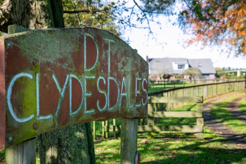 93 Duncan Road, Tamahere - Carousel 35