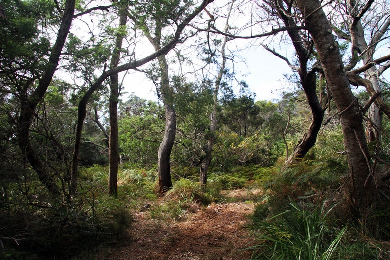63 Trig Road, Kaitaia - Carousel 2