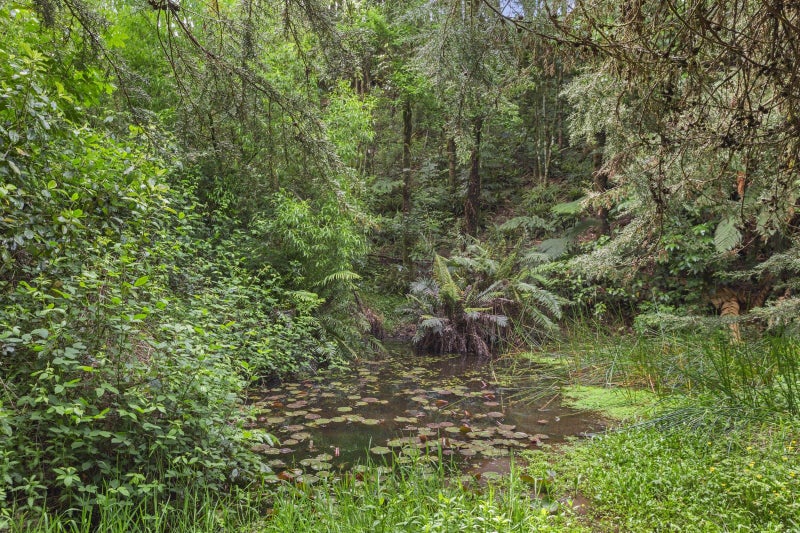 70 Kaimango Road, Hauturu - Carousel 25