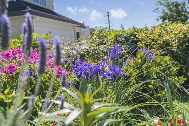 1/293 Riverside Drive, Waterloo, Lower Hutt - Carousel 22