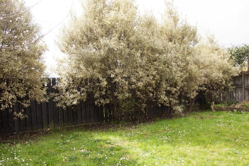 1 Lockheed Place, Onerahi, Whangārei - Carousel 15