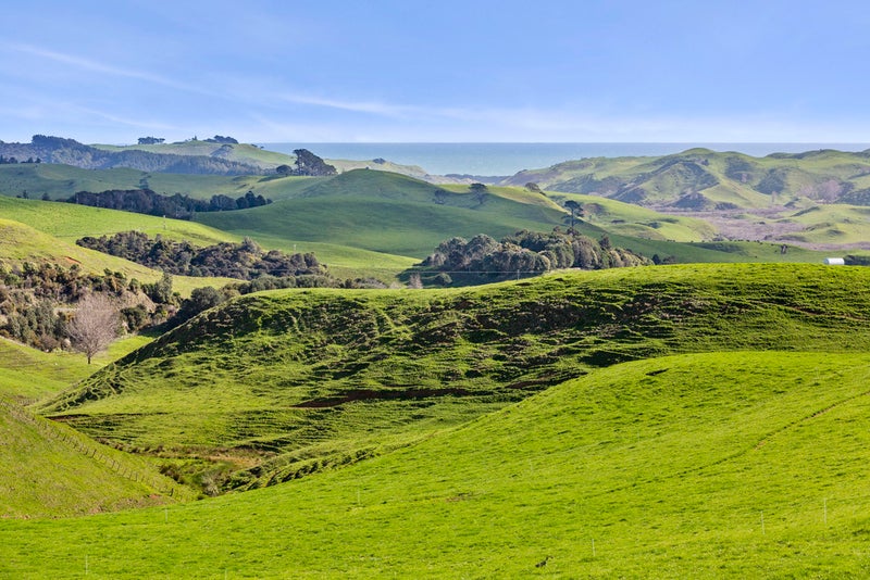 538 Te Papatapu Road, Te Mata - Carousel 2