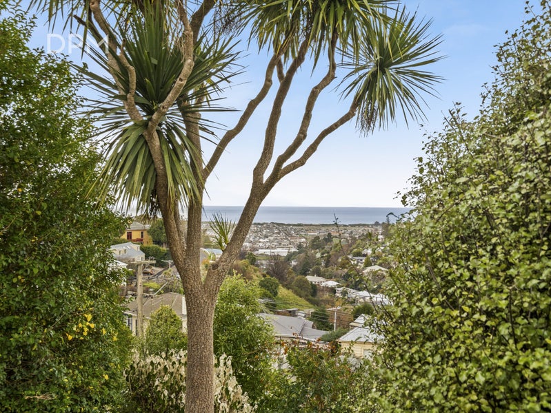 1 Iona Street, Mornington, Dunedin - Carousel 17