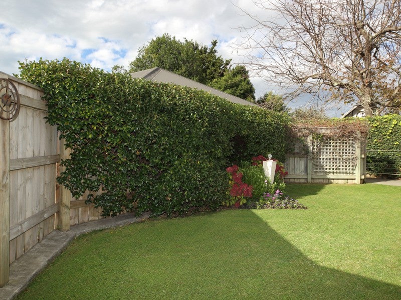 807 Fitzroy Avenue, Mahora, Hastings - Carousel 26