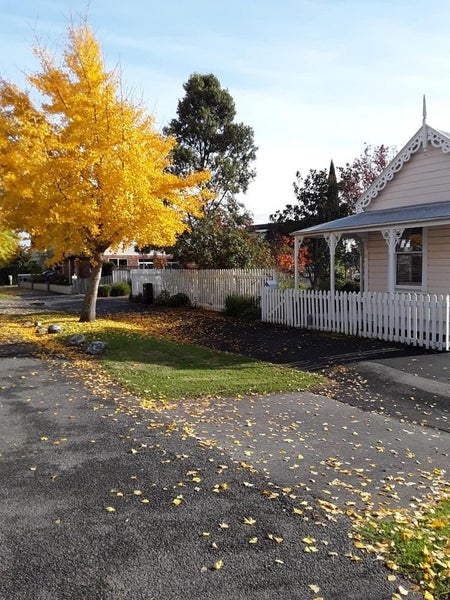 95 Halifax Street East, The Wood, Nelson - Carousel 2