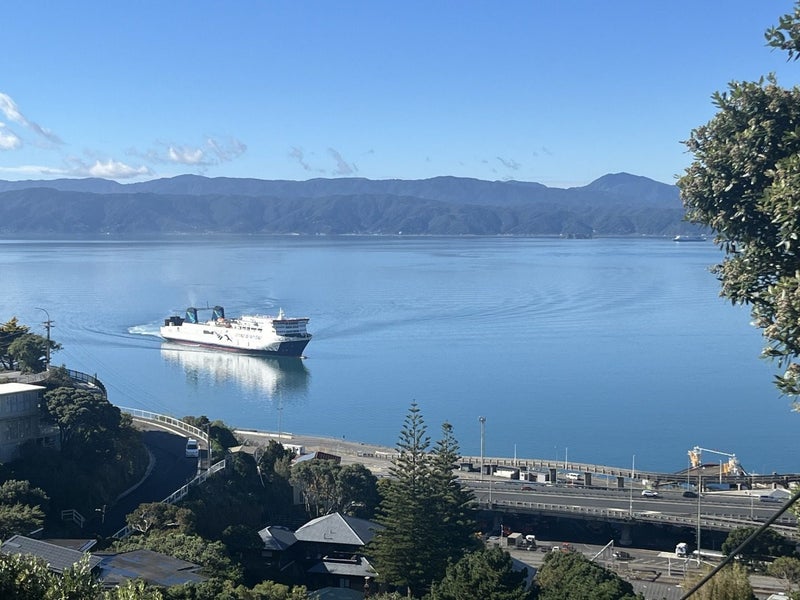 1/89 Barnard Street, Wadestown, Wellington - Carousel 12