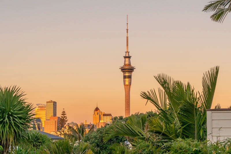 11 Dublin Street, Saint Marys Bay, Auckland - Carousel 2