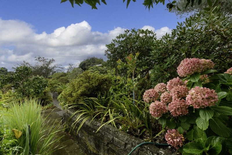 14 Jonathon Street, Brookfield, Tauranga - Carousel 14