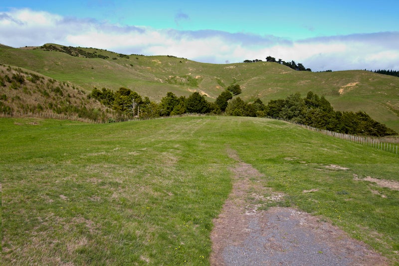 76 Haul Road, Kaukapakapa - Carousel 18